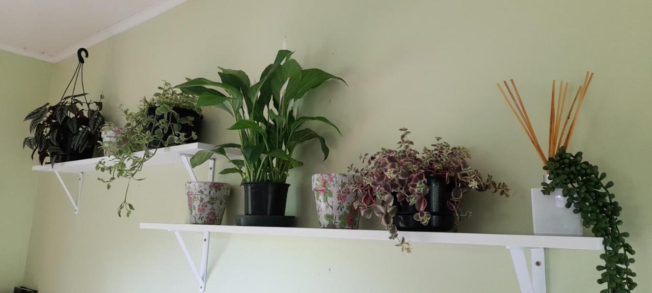 Earthsounds Country Cottage Taumarunui Extérieur photo