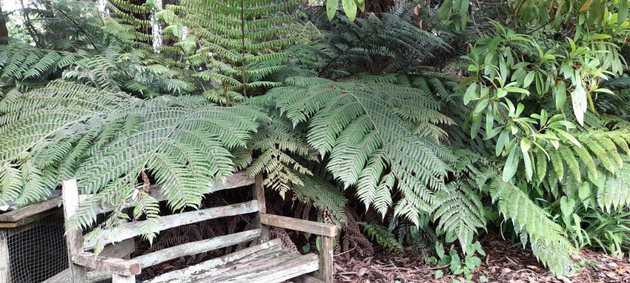 Earthsounds Country Cottage Taumarunui Extérieur photo