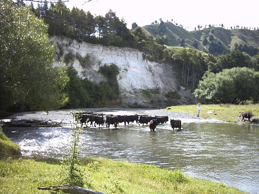 Earthsounds Country Cottage Taumarunui Extérieur photo