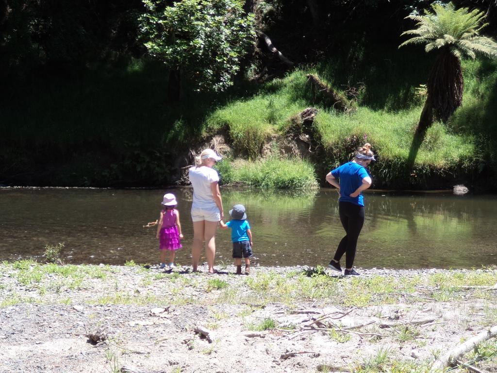 Earthsounds Country Cottage Taumarunui Chambre photo